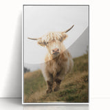 Highland Cow Portrait - Rustic Farmhouse Art Print