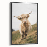 Highland Cow Portrait - Rustic Farmhouse Art Print
