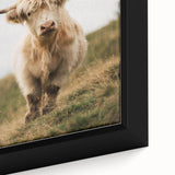 Highland Cow Portrait - Rustic Farmhouse Art Print