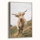 Highland Cow Portrait - Rustic Farmhouse Art Print