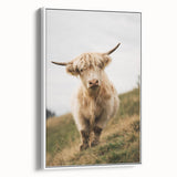 Highland Cow Portrait - Rustic Farmhouse Art Print