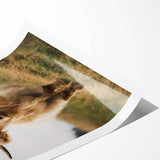 Highland Cow Portrait - Rustic Farmhouse Art Print