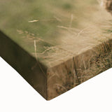 Highland Cow Portrait - Rustic Farmhouse Art Print