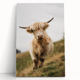 Highland Cow Portrait - Rustic Farmhouse Art Print