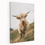 Highland Cow Portrait - Rustic Farmhouse Art Print