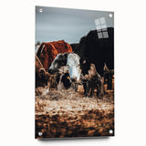 Pastoral Harmony - Intimate Cattle Scene Art