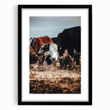 Pastoral Harmony - Intimate Cattle Scene Art