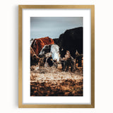 Pastoral Harmony - Intimate Cattle Scene Art