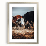 Pastoral Harmony - Intimate Cattle Scene Art