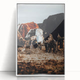 Pastoral Harmony - Intimate Cattle Scene Art