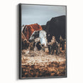 Pastoral Harmony - Intimate Cattle Scene Art