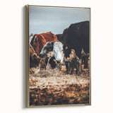 Pastoral Harmony - Intimate Cattle Scene Art