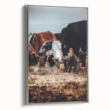 Pastoral Harmony - Intimate Cattle Scene Art