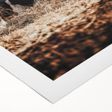 Pastoral Harmony - Intimate Cattle Scene Art