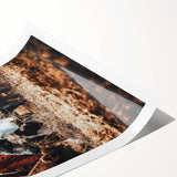 Pastoral Harmony - Intimate Cattle Scene Art