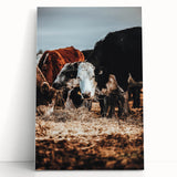 Pastoral Harmony - Intimate Cattle Scene Art