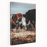 Pastoral Harmony - Intimate Cattle Scene Art