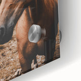 Mountain Majesty - Rustic Horse Portrait Art Print