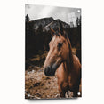 Mountain Majesty - Rustic Horse Portrait Art Print