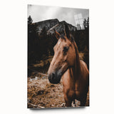 Mountain Majesty - Rustic Horse Portrait Art Print