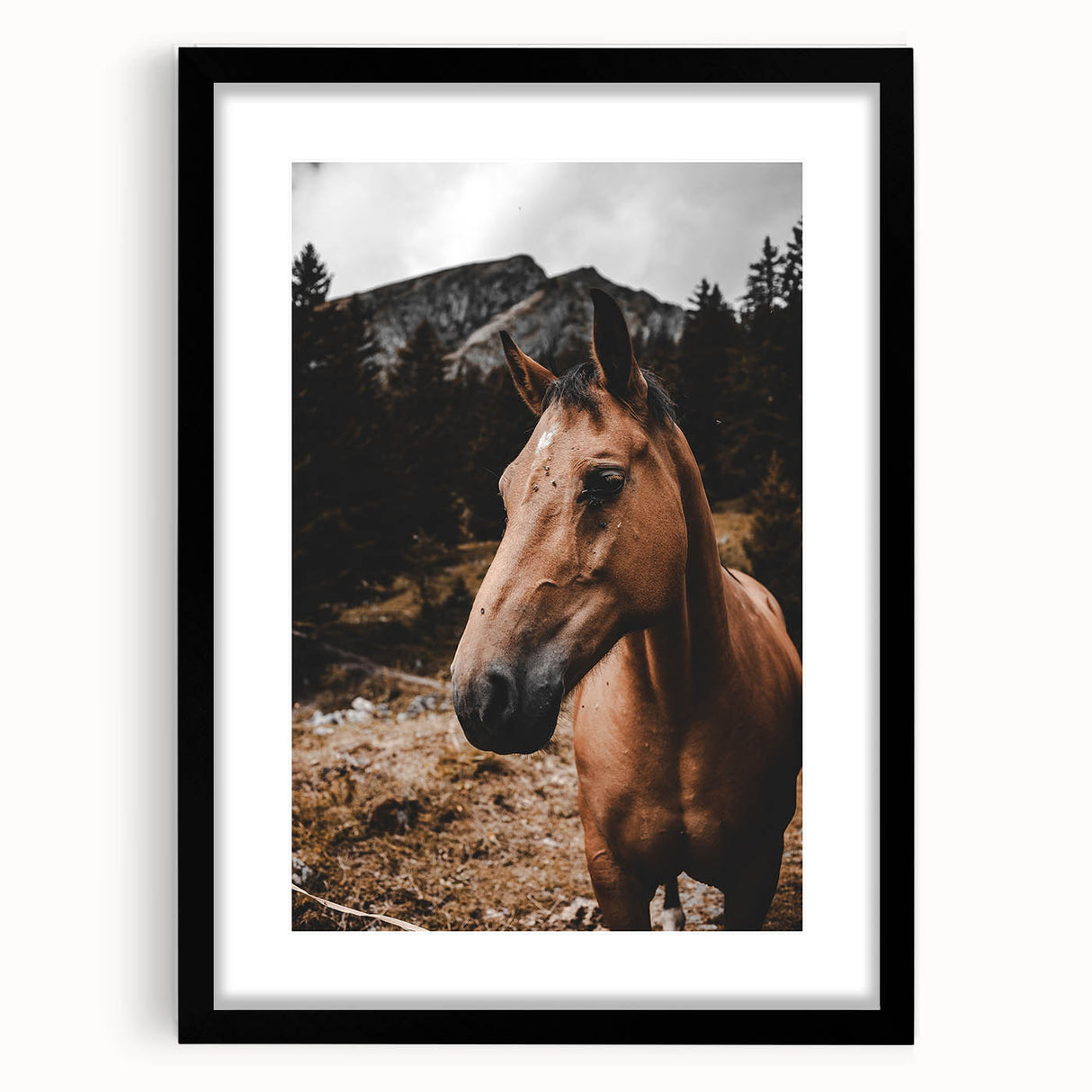 Mountain Majesty - Rustic Horse Portrait Art Print