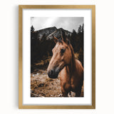 Mountain Majesty - Rustic Horse Portrait Art Print