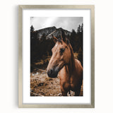 Mountain Majesty - Rustic Horse Portrait Art Print