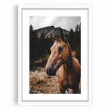 Mountain Majesty - Rustic Horse Portrait Art Print