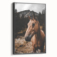 Mountain Majesty - Rustic Horse Portrait Art Print