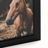 Mountain Majesty - Rustic Horse Portrait Art Print