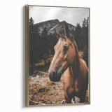 Mountain Majesty - Rustic Horse Portrait Art Print