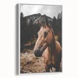Mountain Majesty - Rustic Horse Portrait Art Print