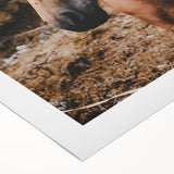 Mountain Majesty - Rustic Horse Portrait Art Print