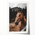 Mountain Majesty - Rustic Horse Portrait Art Print