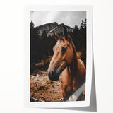Mountain Majesty - Rustic Horse Portrait Art Print