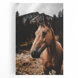Mountain Majesty - Rustic Horse Portrait Art Print