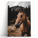Mountain Majesty - Rustic Horse Portrait Art Print