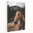 Mountain Majesty - Rustic Horse Portrait Art Print