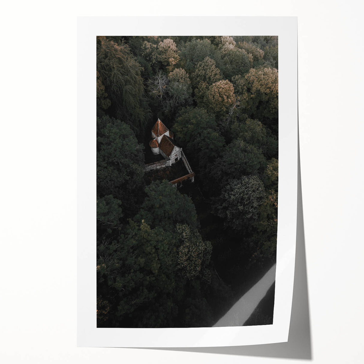 Hidden Sanctuary - Rustic Forest Retreat Art Print