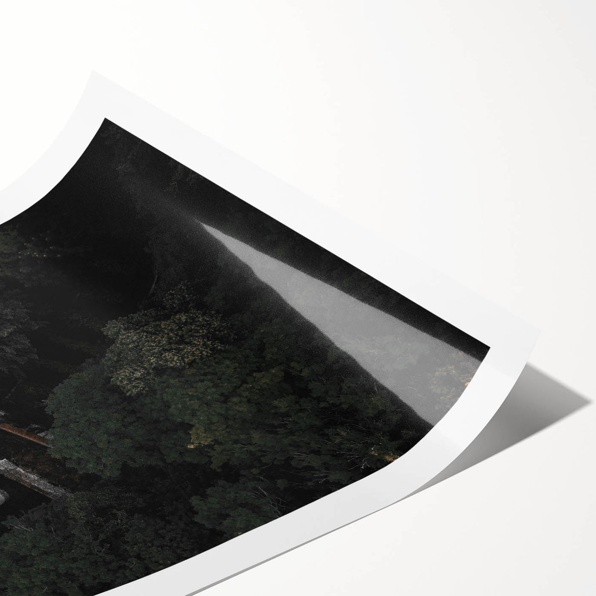 Hidden Sanctuary - Rustic Forest Retreat Art Print