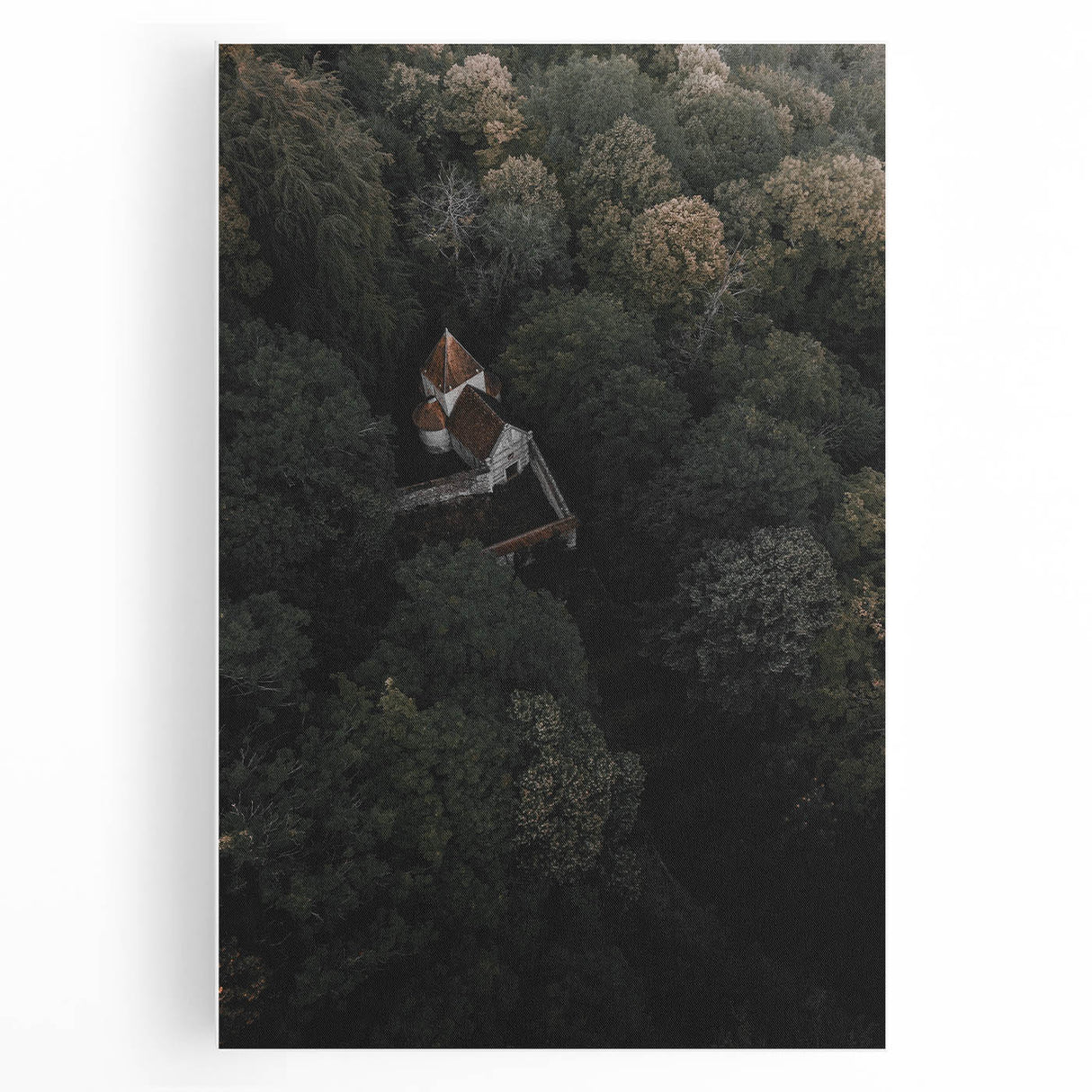 Hidden Sanctuary - Rustic Forest Retreat Art Print