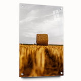 Golden Harvest - Rustic Hay Bale Art Print