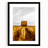 Golden Harvest - Rustic Hay Bale Art Print