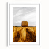 Golden Harvest - Rustic Hay Bale Art Print