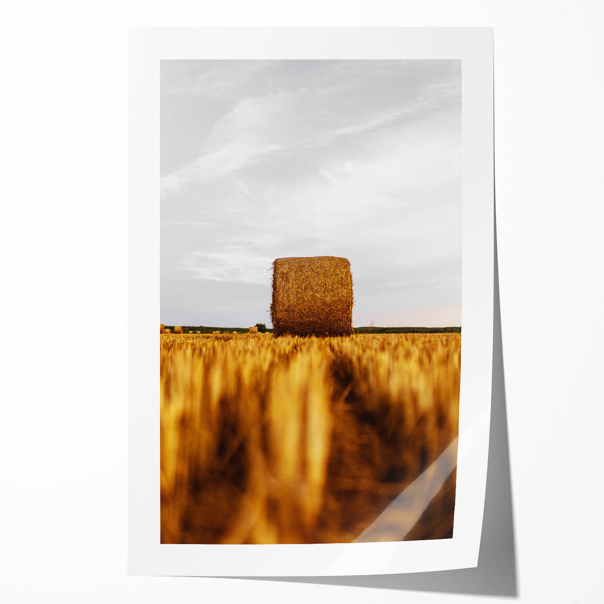 Golden Harvest - Rustic Hay Bale Art Print