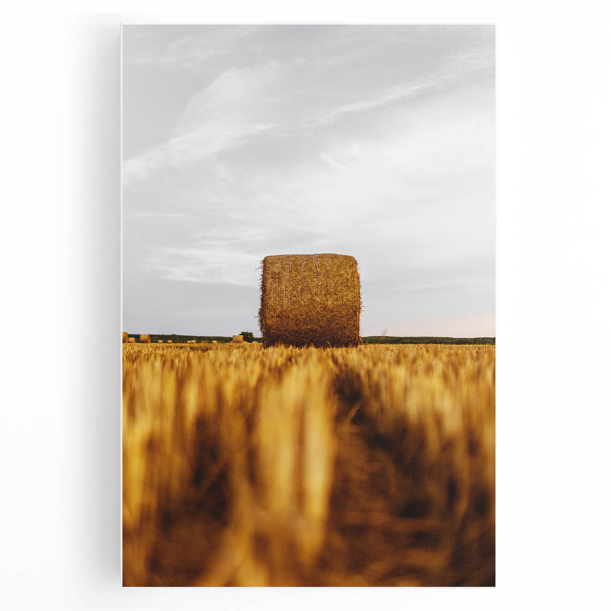 Golden Harvest - Rustic Hay Bale Art Print