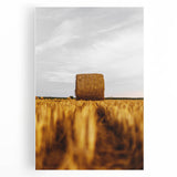 Golden Harvest - Rustic Hay Bale Art Print