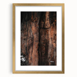 Rustic Wall Art: Rocky Cliff Close-Up – Farmhouse Nature Decor Print