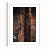 Rustic Wall Art: Rocky Cliff Close-Up – Farmhouse Nature Decor Print
