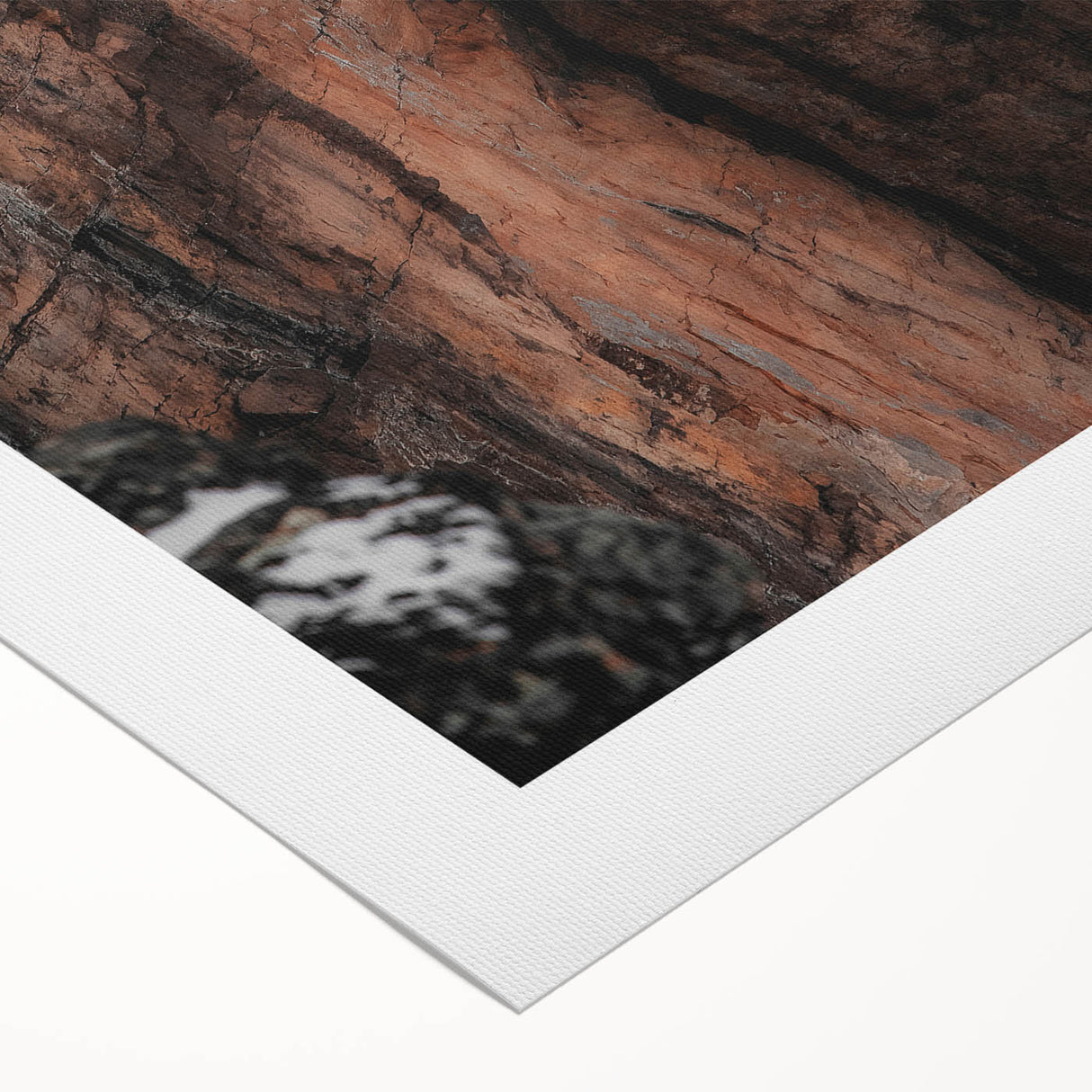 Rustic Wall Art: Rocky Cliff Close-Up – Farmhouse Nature Decor Print